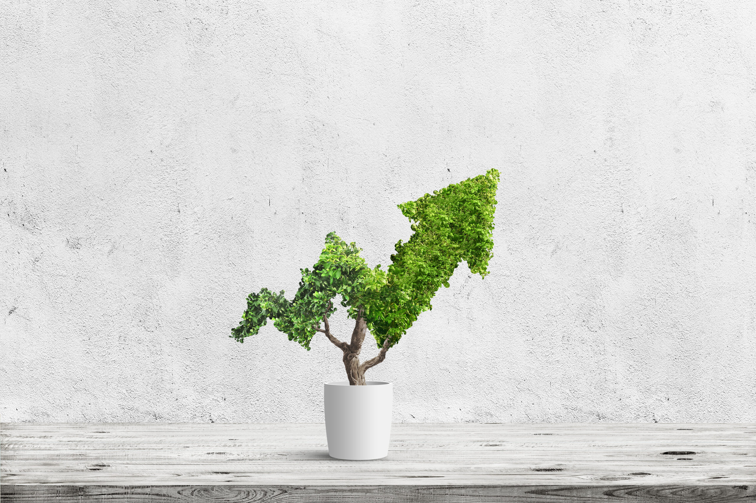 How Software Companies Achieve Growth: 5 Evidence-Based Pillars